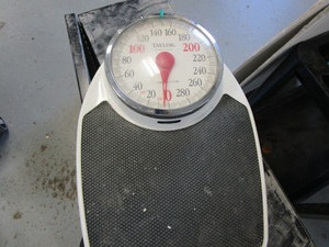 lot 293 image: Floor Scale