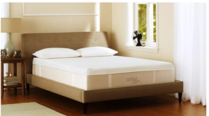 lot 6 image: Brand New Tempur-Pedic Cloud Luxe Plush King Mattress