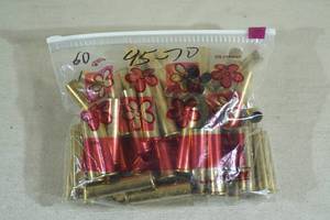 lot 185 image: 60 Empty .45-70 Govt Casings