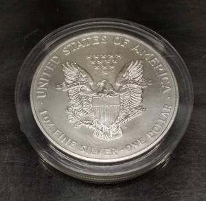 1999 COLOR ENHANCED SILVER EAGLE 1 TROY OZ .999 FINE SILVER IN AIRTITE