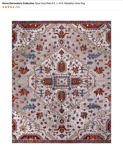 Home Decorators Collection Talya IvoryRed 8 ft. x 10 ft. Medallion Area Rug. See Pictures