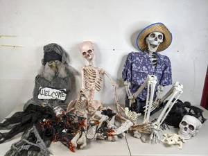 lot 210 image: Halloween Outdoor Decor Skeletons, Witch, Lights, and More - A