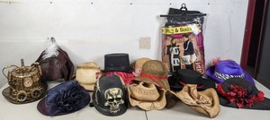 lot 173 image: Plug & Socket Halloween Costume and Magnificent Hat Lot - A