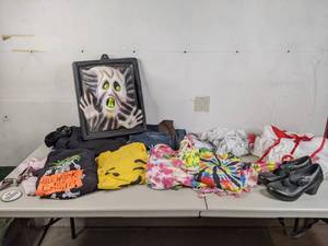 lot 217 image: Dansko Mary Jane Pumps, Costumes and Halloween Decor - A