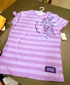 Lot of 6 Purple striped Minnesota tshirts - all New - Womens M-L-XL-2X