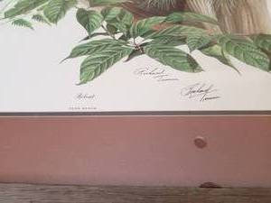 Vintage Signed Lithograph in Barnwood Frame