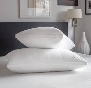 lot 24 image: 1 Downright 233 Thread Count 28 oz Standard Pillow