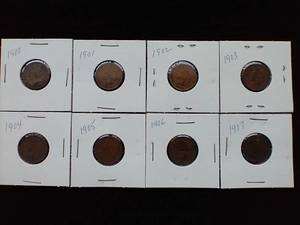 8 Indian Head Pennies - 1900-1907