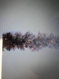 lot 159 image: National Tree Company 9 Lighted Gl...