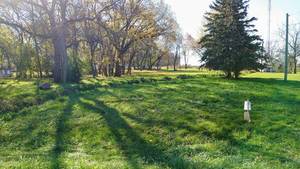 NO RESERVE - 921 Bedal Street Walnut Grove, MN 56180