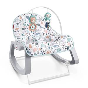 lot 84 image: Fisher-Price Infant-to-Toddler Rocker - Pacific Pebble, Portable Baby Seat, Multi