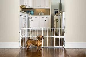 Carlson Lil Tuffy Metal Expandable Gate wSmall Pet Door