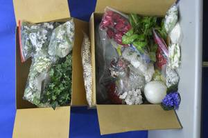 lot 19 image: Multiple varieties of silk flowers and greens