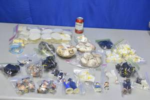 lot 10 image: Graduation decorations and seashells
