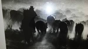 lot 281 image: Gerry Spence photography The Last Cattle Drive.
