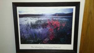 lot 286 image: Harold Davis photography -Adirondacks.
