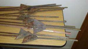 lot 924 image: (11) Metal Stakes- Posts.