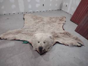 lot 1 image: Grizzly Bear Rug