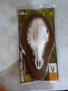 lot 243 image: Field Champ Replica Skull Mount