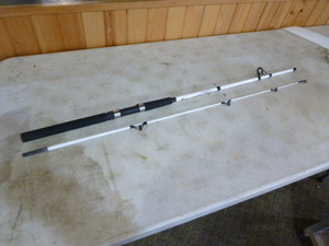 lot 251 image: South Bend Trophy Tamer Spinning Rod