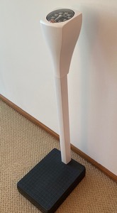 Healthmeter Scale