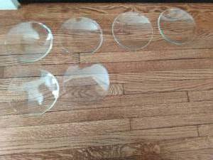 lot 303 image: Petri Dishes