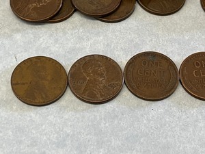 Lot Of (19) Wheat Pennies