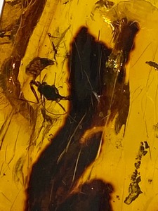 lot 100 image: Gorgeous Vintage Amber Pendant