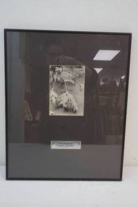 Framed Ansel Adams Photo