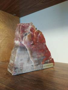 lot 276 image: Petrified Wood Piece