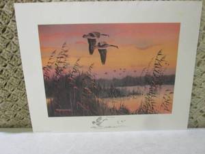 Jerry Raedeke Marsh Magic Print Ap...