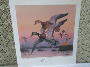 Call Of The Wild - Mallards Artis...