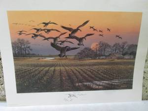Cottonwood Canadas Artists Proof ...