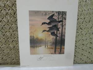 Grand Bay Wood Ducks Artists Proo...