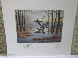 Dyar Pasture Wood Ducks Artists P...
