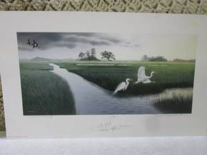 Signed Marsh Majesty Print (South...