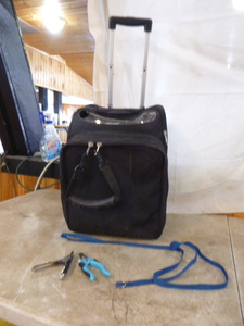 lot 99 image: Small Travel Pet Carrier