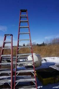 Werner 12 Fiberglass Step Ladder