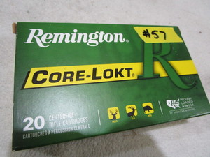 Ammo Rem 30-06