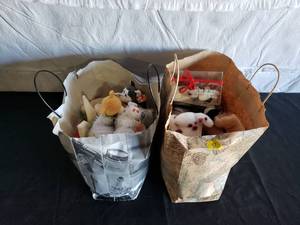 Ty Beanie Babies