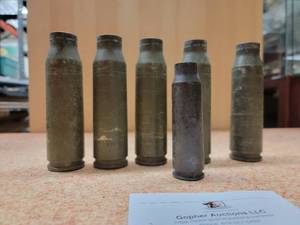lot 81 image: 6 Large shells