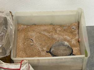 Walnut Shell Blasting Abrasive