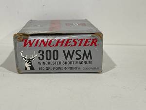 Winchester 300