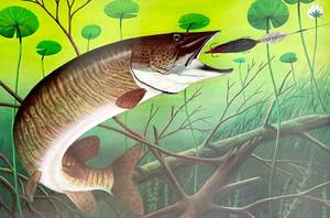 Signed and numbered print with a fish.