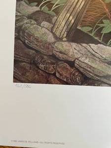 Large Numbered and Signed Wildlife print by James Williams A Quite Moment 411580. 33 X 24� Deer in in still repose.