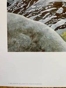 LOT OF (4) Four prints .....Into the sky Mallards in flight, Large stunning Wildlife prints by James Williams.
