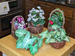 lot 160 image: Set of 5 Faux Plants in Decorative Baskets