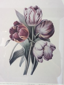 lot 46 image: Framed MIA 2001 Art in Bloom Print