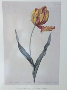 lot 47 image: Framed MIA 1997 Art in Bloom Print