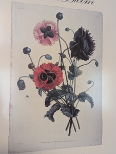 lot 51 image: Framed MIA 1995 Art in Bloom Print